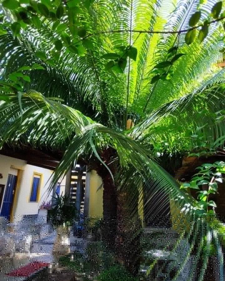 Pousada Solar Azul Lencois Buitenkant foto